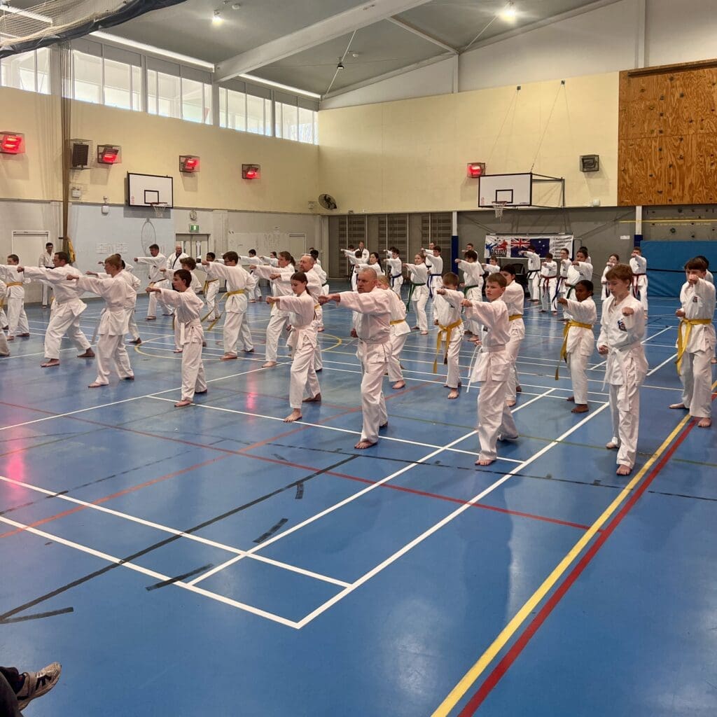 Action Tae Kwon-Do, Australia's Leading Martial Arts School.